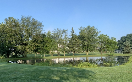Strasburg Pike pond, Lancaster County, PA 8/8/19 Click to enlarge