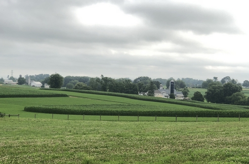 Strasburg Pike farm view