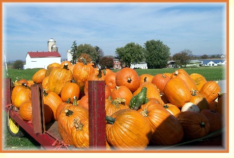 Pumpkin wagon near Strasburg, PA