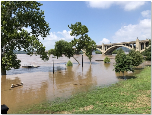 Susquehanna River flooding 7/26/18 (Click to enlarge)
