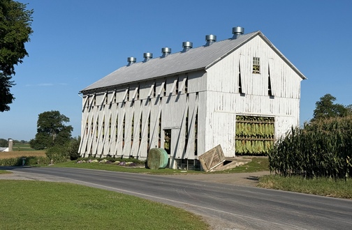 Tobacco barn