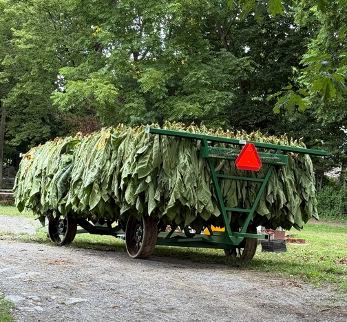 Tobacco wagon