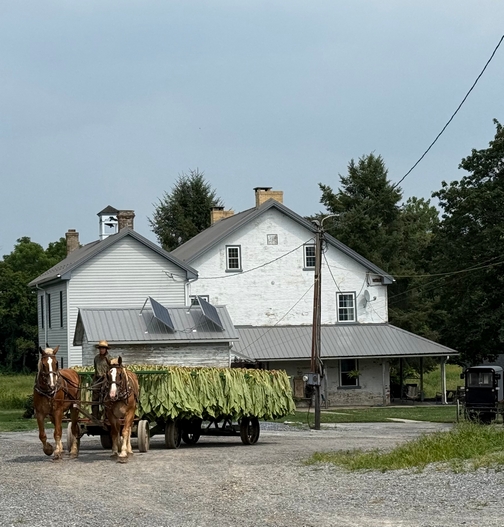 Tobacco wagon