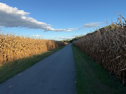 Corn canyon on trail ride