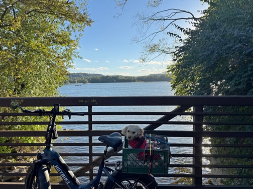 Conoy Creek bridge on river trail