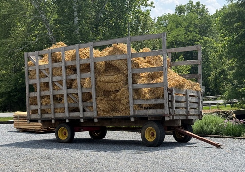Wheat straw bales