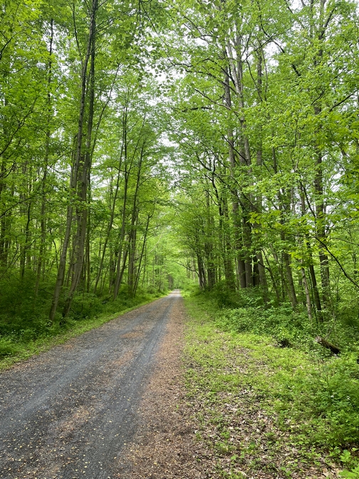 Lebanon Valley Rail Trail
