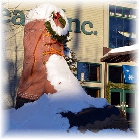 LL Bean boot (Doris High)