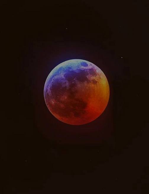 Blood moon 1/21/19 (Photo by Ester)