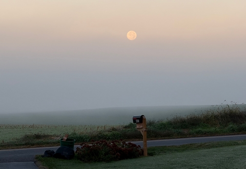 Morning moon
