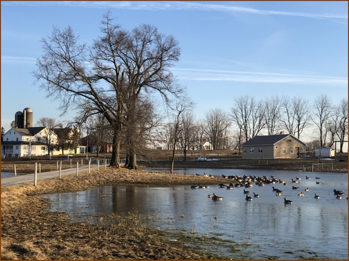 Lebanon County farm and school 2/19/19 Click to enlarge