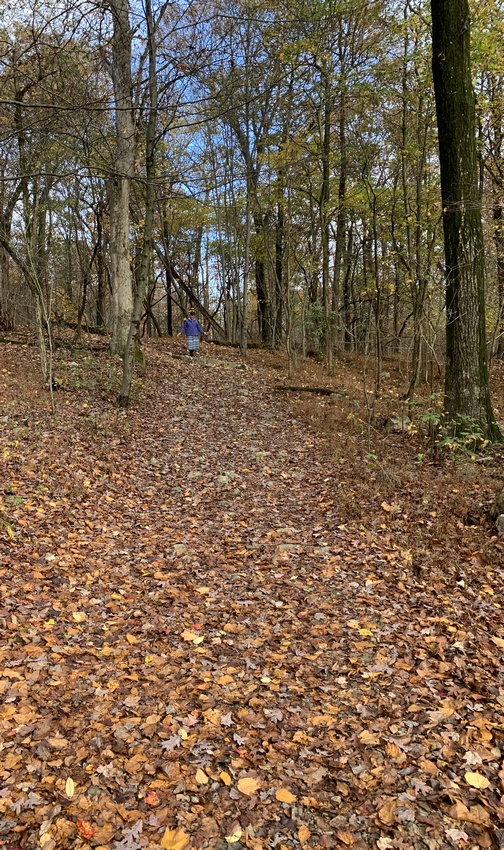 Appalachian Trail leaves on path