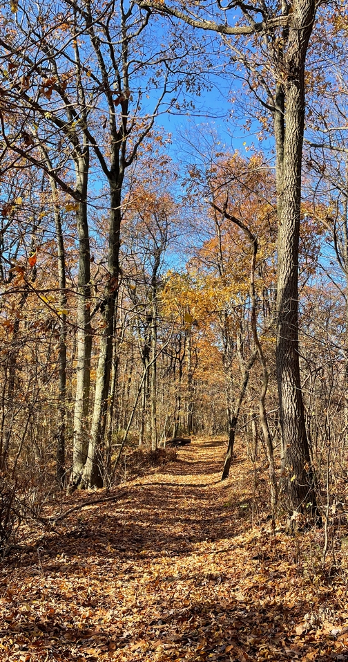 Appalachian Trail near Pine Grove, PA