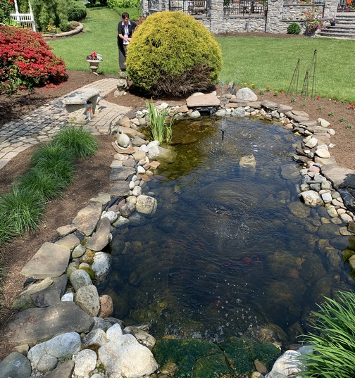 Backyard pond, Lebanon County, PA