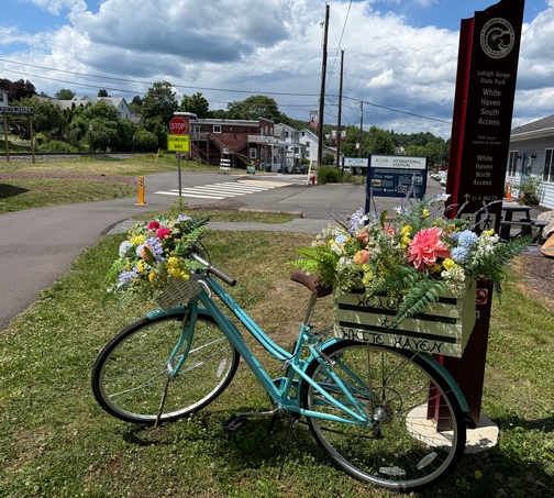 White Haven flower bike