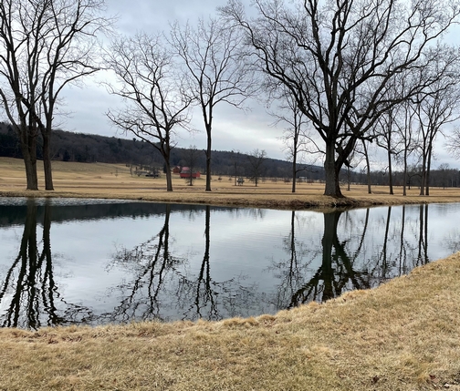 Blue Mountain pond and farm scene
