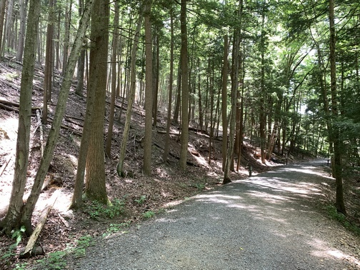 Old rail grade in Little Buffalo State Park