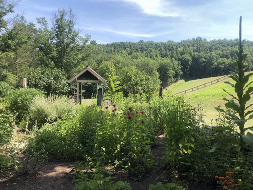 Butterfly Garden in Little Buffalo State Park, Perry County, PA