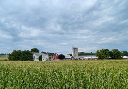 Buffalo Valley rail trail