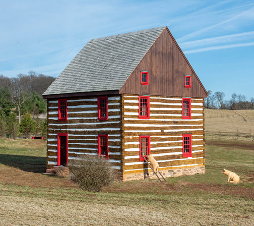 Curious pig at log house