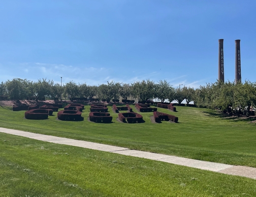 Hershey Cocoa shrubbery