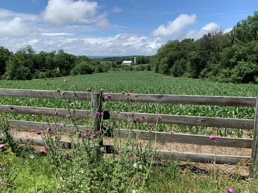 Lebanon County farm scene (Click to enlarge)