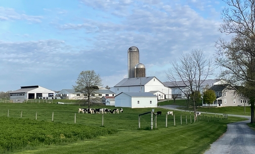 Lebanon County dairy farm