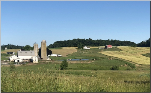 Lebanon County PA farm 6/4/19 (Click to enlarge)