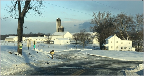 Lebanon County farm 2/13/19 (Click to enlarge)