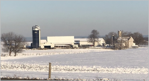 Lebanon County farm, PA 3/5/19 (Click to enlarge)