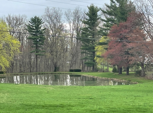 Farm pond, Lebanon County