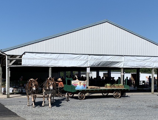 Lebanon Produce Auction