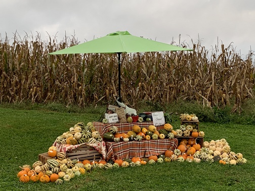 Roadside stand, Lebanon County, PA