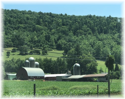 Mason Farm, Cameron County, PA 7/1/18 (Click to enlarge)