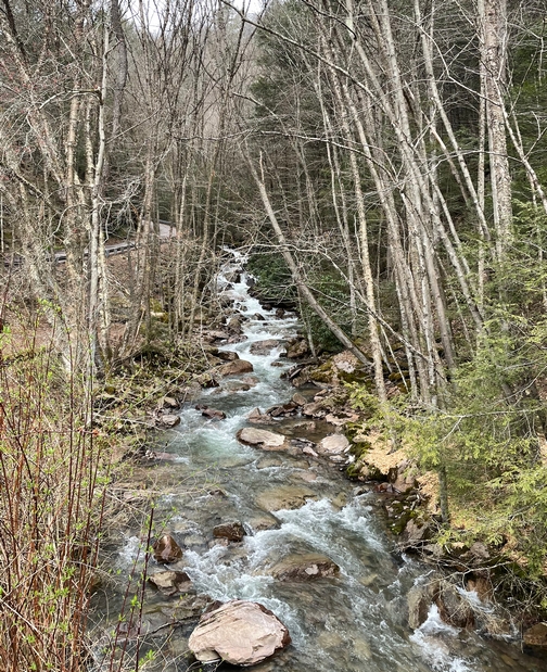 Mountain stream near Rockport trailhead