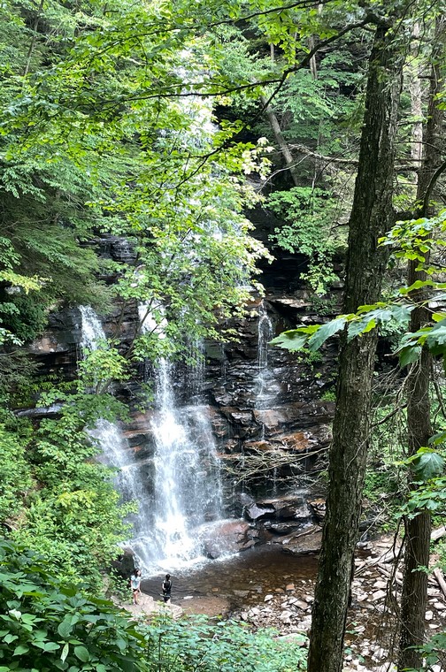 Ganoga Falls