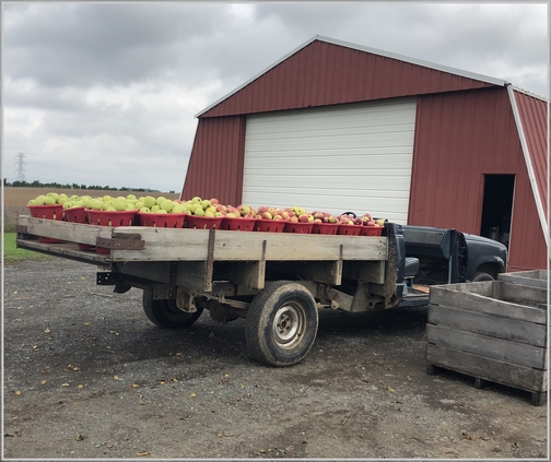 Seyfert Orchards apple harvest truck