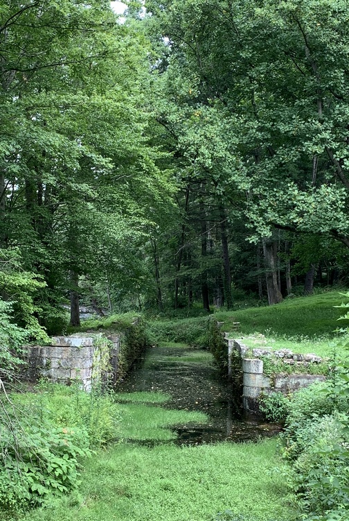 Abandoned Road section of the Swatara Rail trail 7/28/20