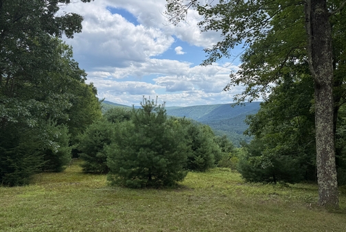 Vista from porch of mountain cabin