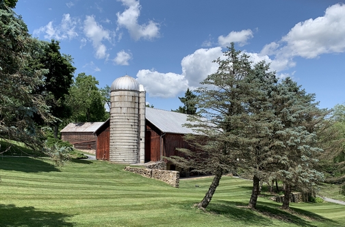 York County barn 6/22/19 (Click to enlarge)