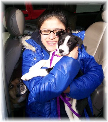 Bringing Mollie home from shelter