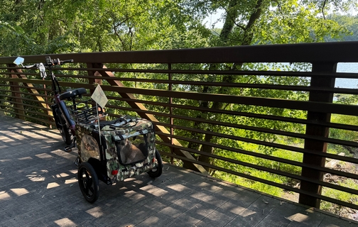 Pets in bike trailer
