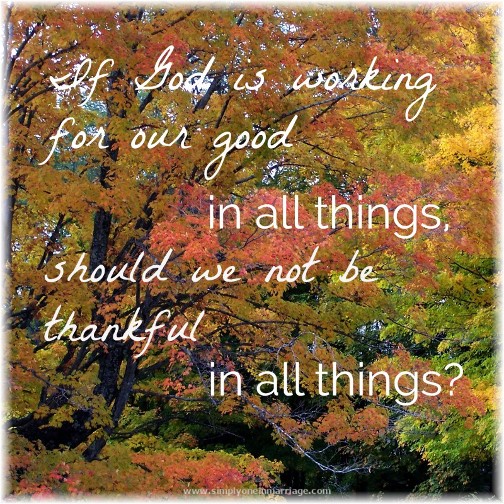 Thankfulness quote (photo by Sabra Penley)