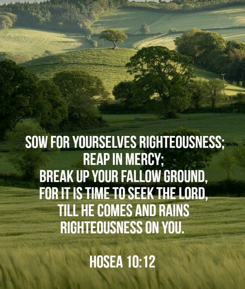 Hosea 10:12