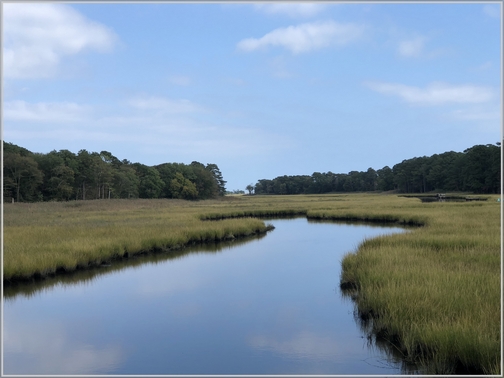 Estuary near Rehoboth Beach DE 10/6/18 (Click to enlarge)