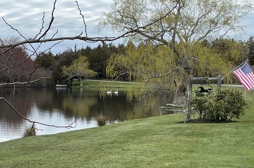 Cape Cod pond