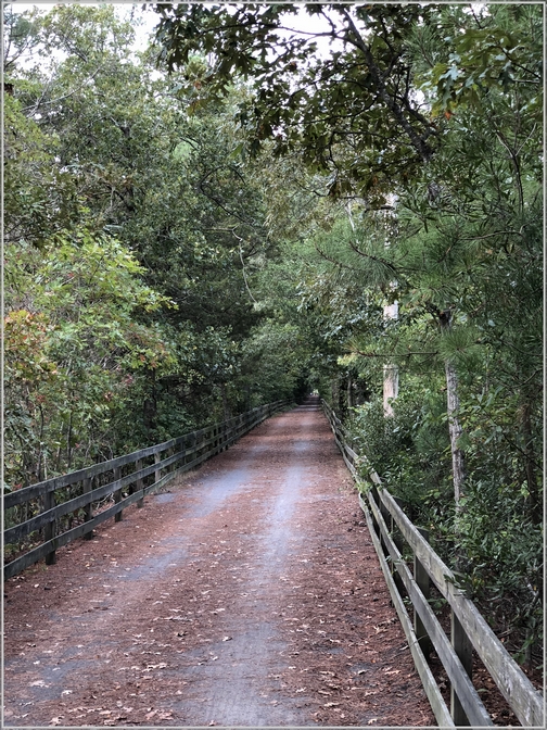 Junction and Breakwater trail near Rehoboth Beach DE 10/7/18 (Click to enlarge)