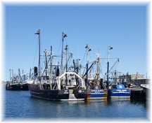 New Bedford fishing fleet