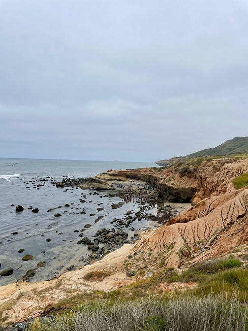 Point Loma tidal pools