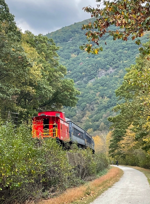 Train going through Lehigh Gorge